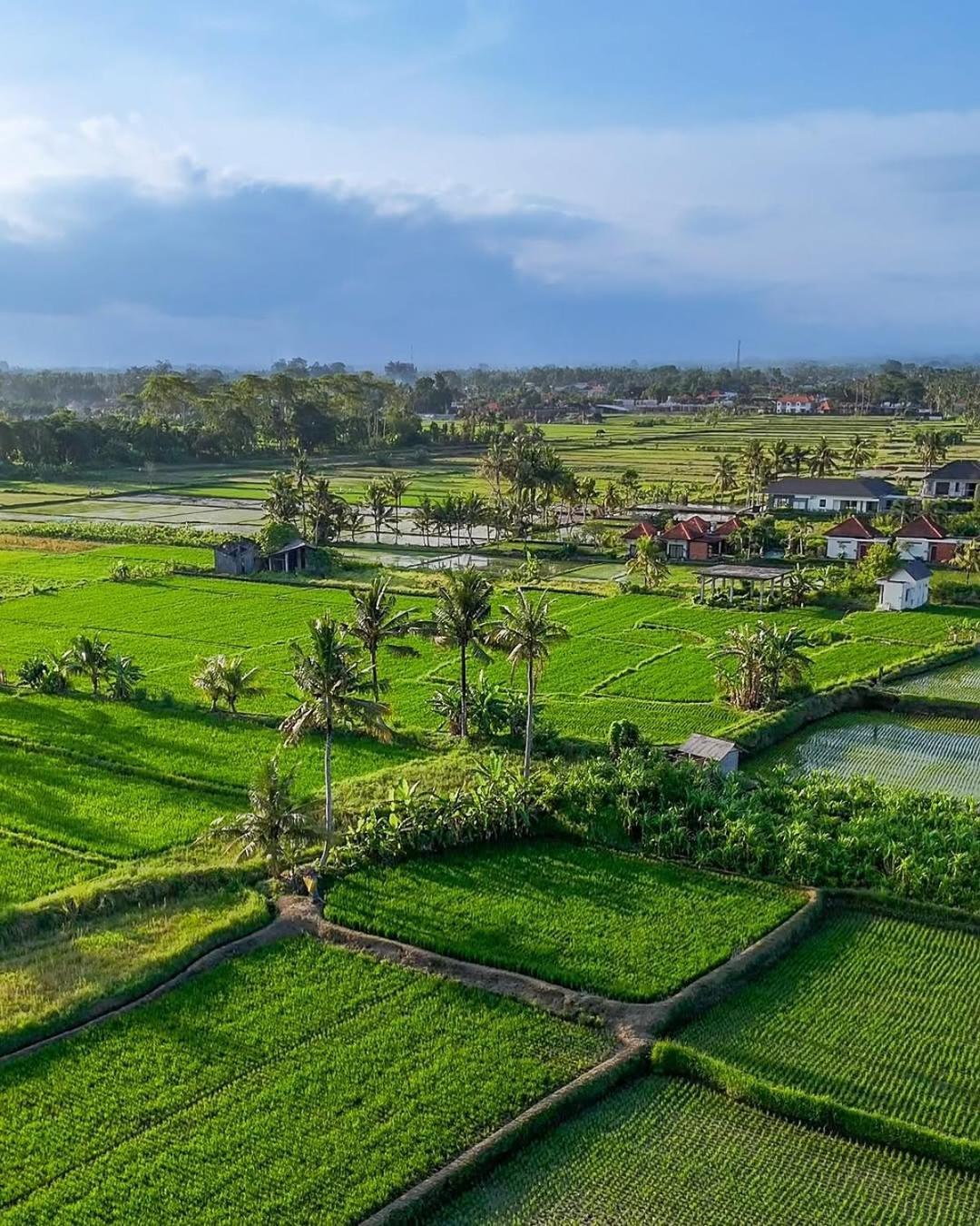 Ikada Villa By Pramana Villas Ubud Dış mekan fotoğraf